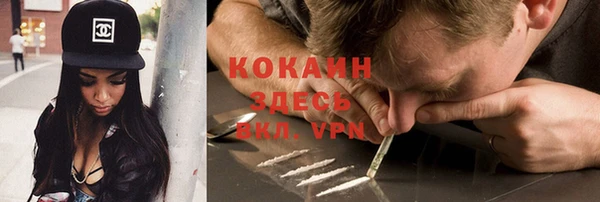 прущие крисы Кулебаки