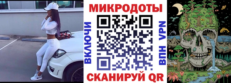 Псилоцибиновые грибы Psilocybe  Навашино 